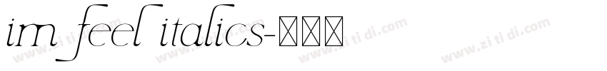 im feel italics字体转换